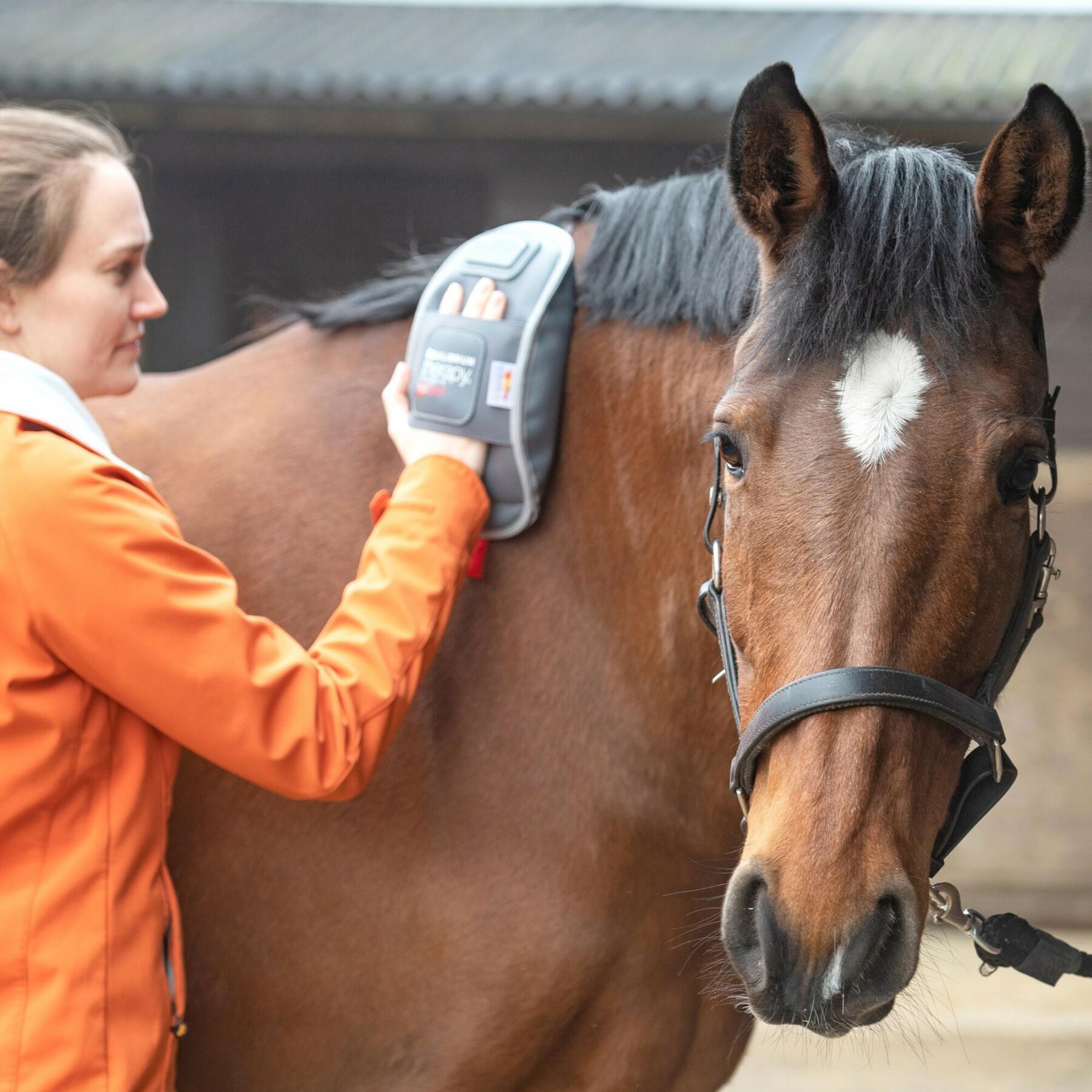 Uppvärmda massagehandskar för hästar Equilibrium