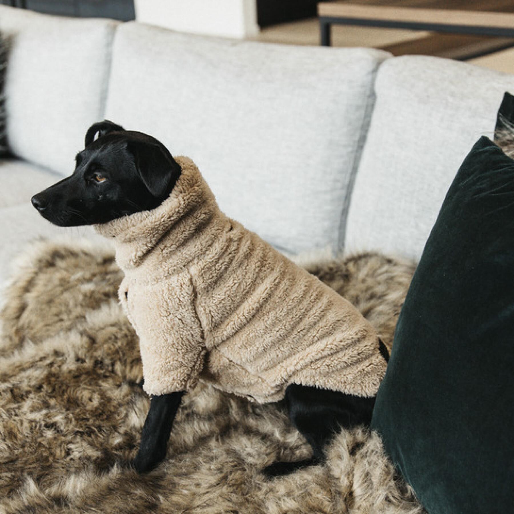 kentucky teddy fleece hund tröja