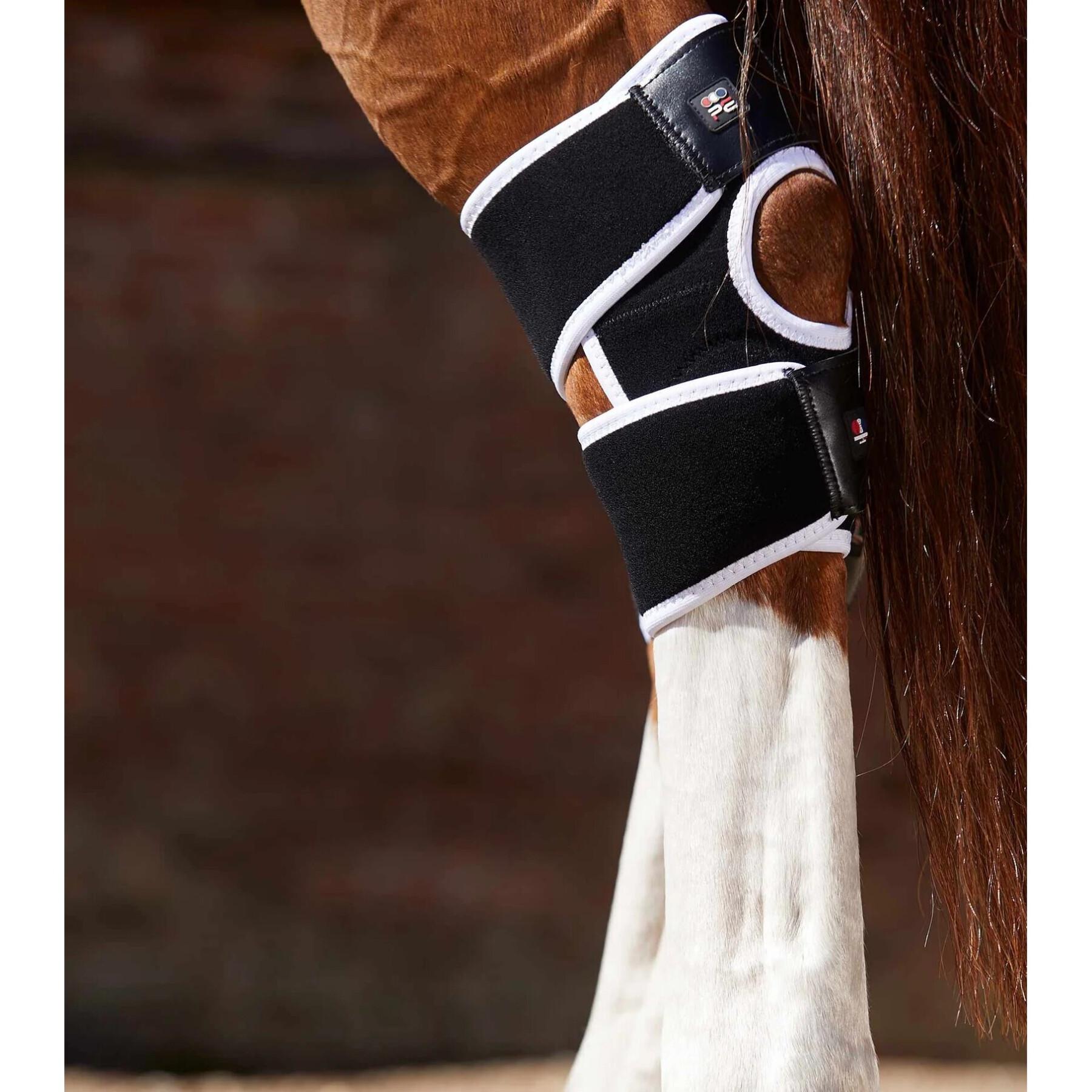 Magnetiska knäskydd för hästar Premier Equine Magni-Teque