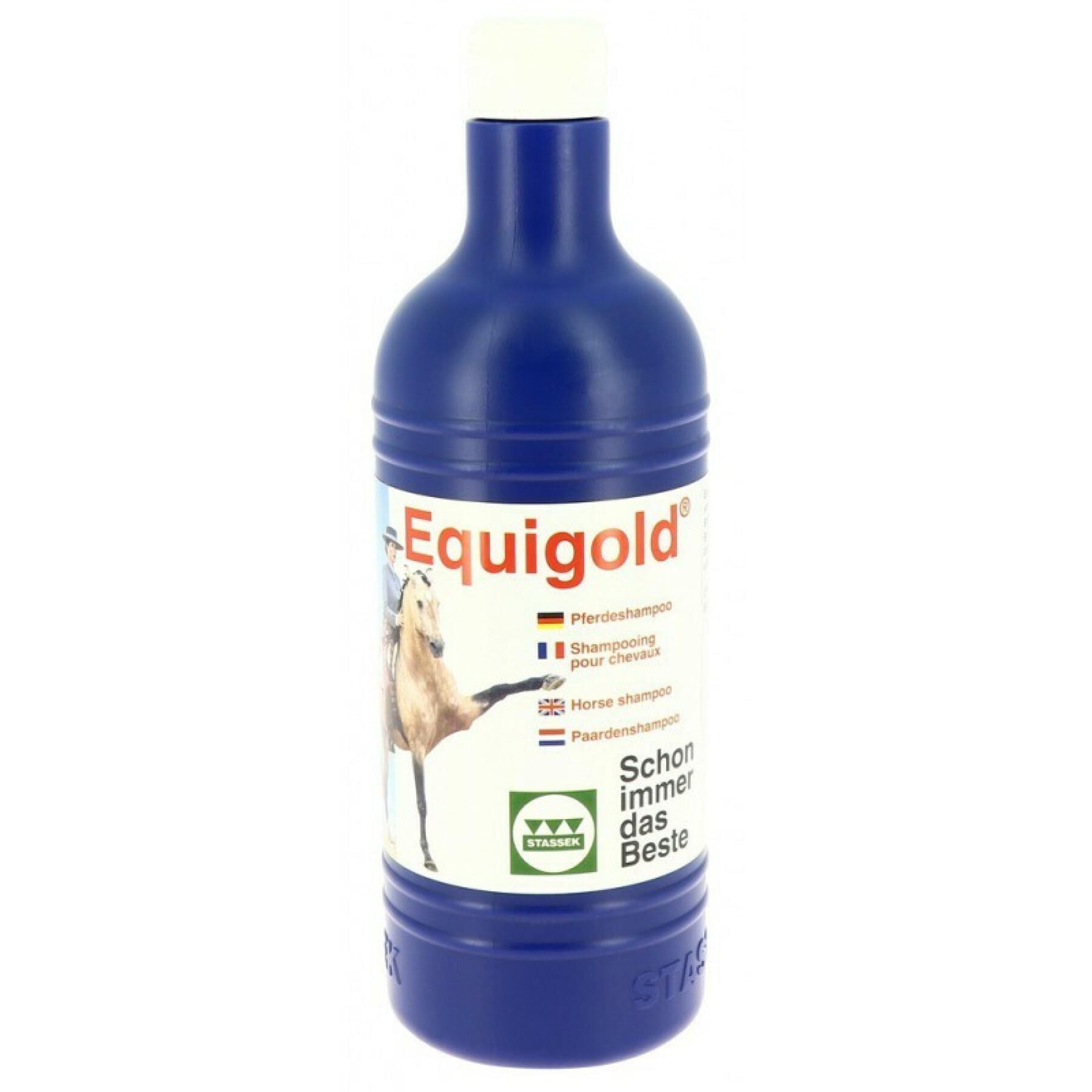 Schampo för hästar Stassek Equigold 750 ml