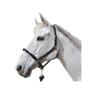 Repgrimma med vita spännen för hästar Canter
