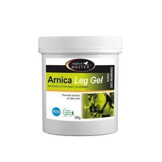 Uppfriskande gel för hästar Horse Master Arnica Leg 500 g