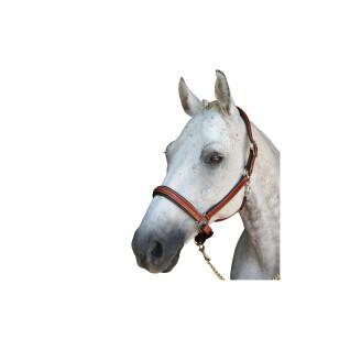 Halster för häst Lexington Denver