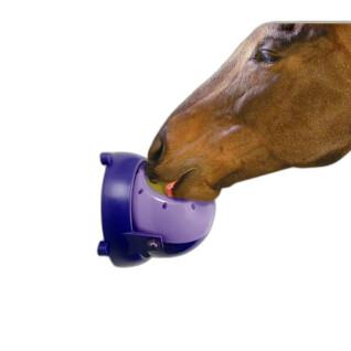 Utfodring av hästar Likit Tongue Twister