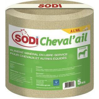 Mineralfoder för hästar med självbetjäning sodicheval'ail Sodi