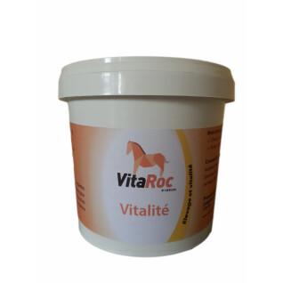 Vitaminer och mineraler för hästar VitaRoc by Arbalou Vitalité
