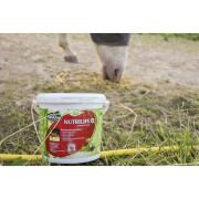 Vitaminiserat fodertillskott för hästar Ravene Nutrilife