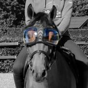 Reservlinser för hästglasögon eQuick eVysor