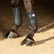 Knäskydd för hästar Harry's Horse Beenbeschermers Flextrainer Air mesh