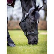 Lädergrimma för häst LeMieux Stitched Comfort
