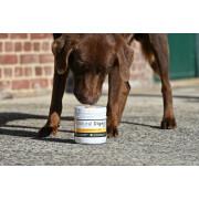 Kosttillskott för matsmältning för hundar Natural Innov Natural'Digest - 200 g