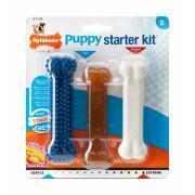 Uppsättning med 3 hundleksaker Nylabone Puppy Starter Kit - 1 Puppybone Chicken / 1 Extreme Chew Chicken / 1 Dental Blue S
