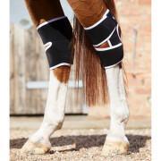 Magnetiska knäskydd för hästar Premier Equine Magni-Teque