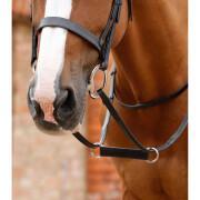 Martingal för hästar Premier Equine Esperia Irish